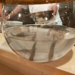 天白 - まだ元気？