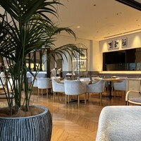 MIDO RESTAURANT PIC NIKA - 