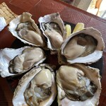 中目黒 牡蠣入レ時 - 