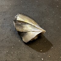 鮨 龍馬 - しんこ、3枚付け。