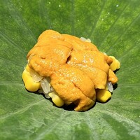 蓮 三四七 - 