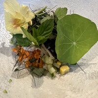 RAVI - 