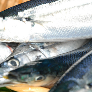 くるくる寿し_2