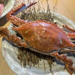 蟹御殿 - 