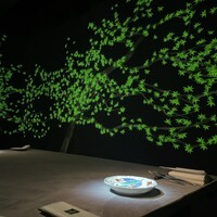 佐賀牛 Sagaya 銀座 - 