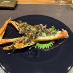 イル アオヤマ - 