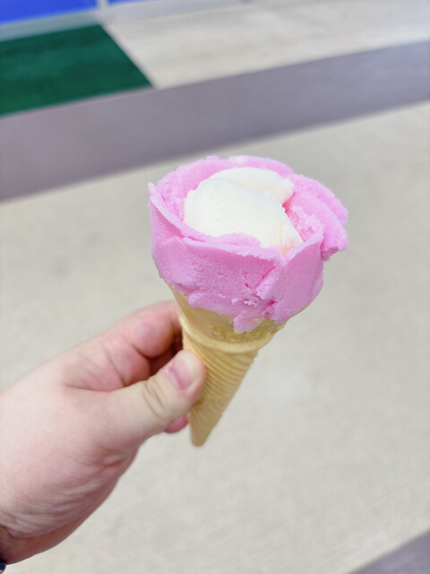 児玉冷菓 - 船越（その他）の写真