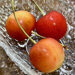 ビストロ ティアボ - 