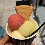 プレミアム マリオジェラテリア 新宿伊勢丹店 - 