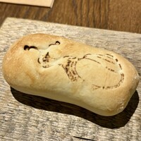 biodinamico - 