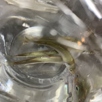 なにわ天ぷら 維心 - 