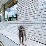 L’ibisco Karuizawa