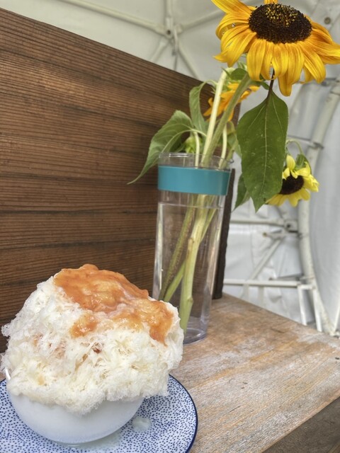 近沢レース　かき氷　サーフィン　クマノミ　ひまわり 近沢レース かき氷 サーフィン クマノミ ひまわり 竹富島】かき氷