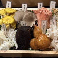 シャングリラズシークレット 銀座店 - 