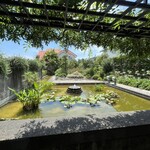 コヒアアラビカ 伊豆高原店 - お庭のお水もお湯になってるそうで、ハスの葉っぱが少なかったけど、これも自然