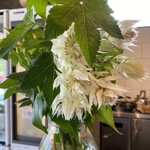 HAKUMOKKA - お花も綺麗