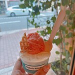 Gelato MinNa - ベネツィアーノ&大石早生プラム　ピッコロ・カップ（税込680円）
