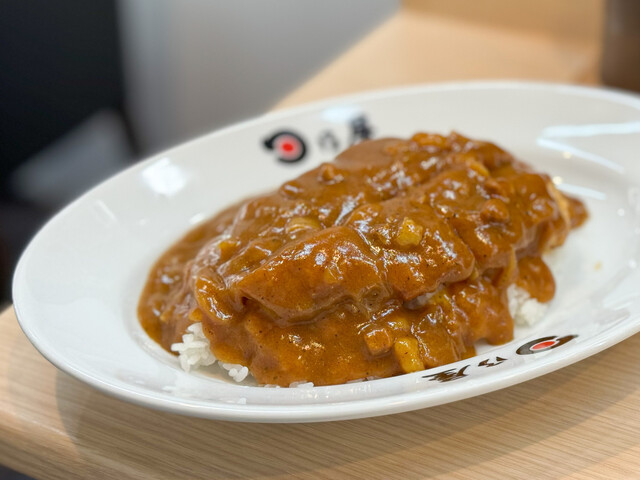 Hinoya Curry Gyoza no Akitsu Shinsakae Ten