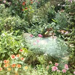 シークレット レストラン カメ - 