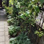 シークレット レストラン カメ - 