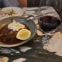 THE APOLLO - 
