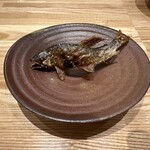 旬菜旬魚 たじま - 