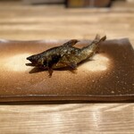 旬菜旬魚 たじま - 