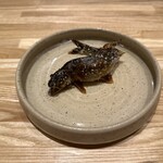 旬菜旬魚 たじま - 