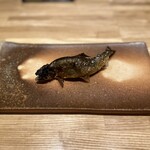 旬菜旬魚 たじま - 