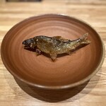 旬菜旬魚 たじま - 