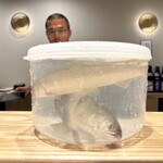 旬菜旬魚 たじま - 