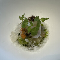 クイントカント - 