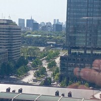 XEX TOKYO / Salvatore Cuomo Bros. - 