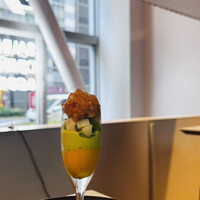 フレンチバルギンザ by plein - 