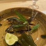 しんせん 割烹 佐乃家 - 