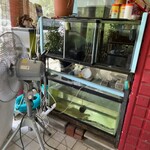 摩天楼 - 入口には水槽があります。