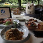 MOOMIN CAFE Karuizawa