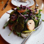 Zum Schwarzen Stern - オーガニックハーブサラダ