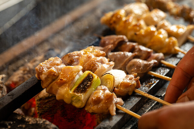 サカナトリ SAKANATORI　HikariBambi　ヒカリバンビ　ラメ サカナトリ SAKANATORI HikariBambi ヒカリバンビ ラメ