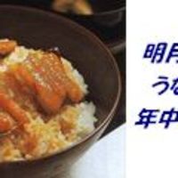 うな丼（並）