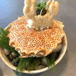 セリュー - 毛蟹