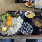 すっつしらす会館 - 生しらす釜揚げしらすのハーフ＆ハーフ丼ダブル