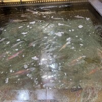 博多料亭 稚加榮 - 
