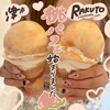 RAKUTO cheesecake craft