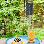 森のカフェ - スペシャルケーキセット1700円税込（ジューシーフルーツソーダ自家製あんずシロップ＋300円）長野県産ブルーベリーのパブロバ¥2000 内訳パブロバ1200円ソーダ800円