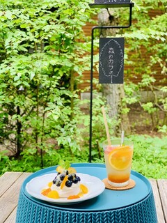 Mori no Cafe - Special Cake Set, JPY 1,700 (Juicy Fruit Soda with Homemade Apricot Syrup + JPY 300)
                        Pavlova with Nagano Prefecture Blueberries, JPY 2,000
                        Breakdown: Pavlova JPY 1,200, Soda JPY 800