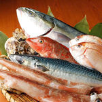 ◆◇◆ Keep the deliciousness of freshly caught meat! Seasonal fresh fish dishes ◆◇◆