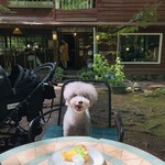 Kyukaruizawa Cafe Suzunone