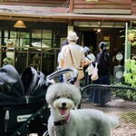 Kyukaruizawa Cafe Suzunone