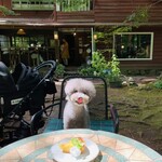 Kyukaruizawa Cafe Suzunone